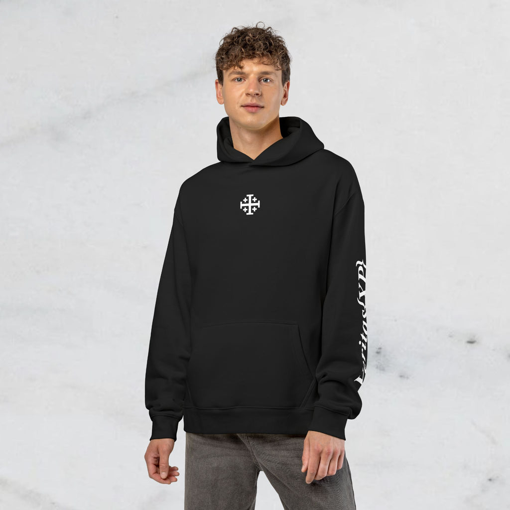 Malachi 4:2 Hoodie