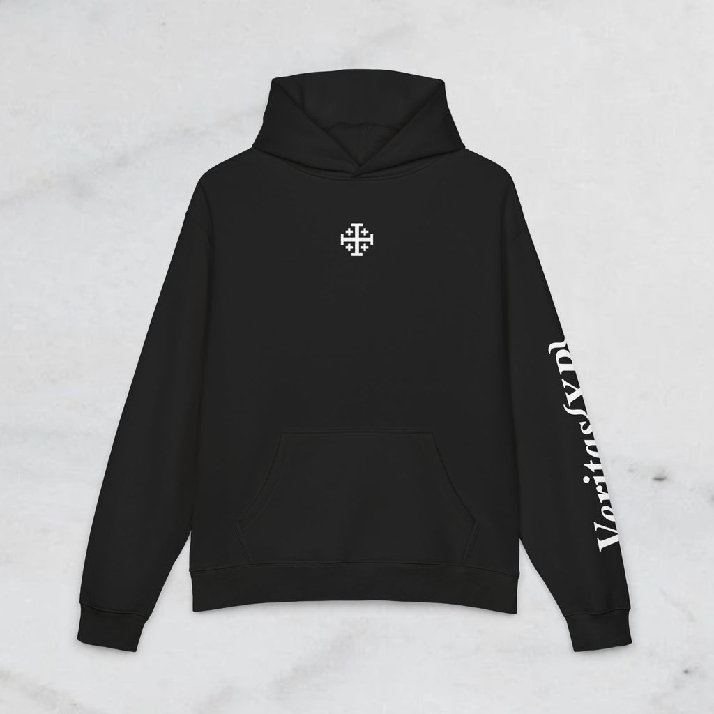 Malachi 4:2 Hoodie